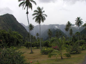 tahiti.jpg